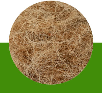 Fibra de coco